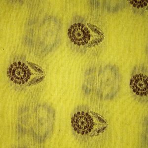 AS43021 Kataan Silk Butti Floral Work Light Yellow 1