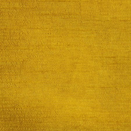 AS43145 Plain Dupion Silk Turmeric Yellow 1