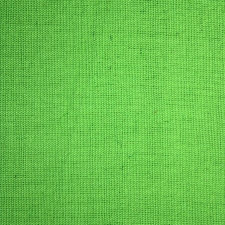 AS43898 Plain Khadi Cotton Fern Green 1