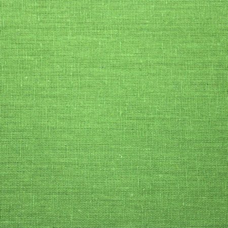 AS43913 Dhabu Cotton Plain Fern Green 1