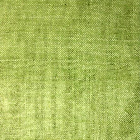 Exclusive Pure Handloom Double Matka Pear Green 1